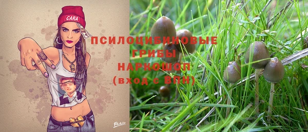 ECSTASY Белокуриха