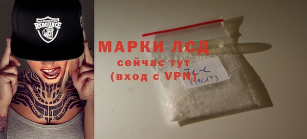 ECSTASY Белокуриха