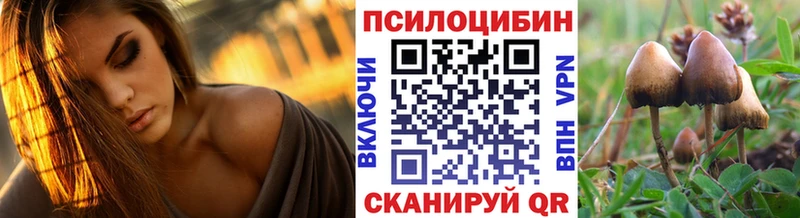 Псилоцибиновые грибы мухоморы  OMG вход  Первомайск 